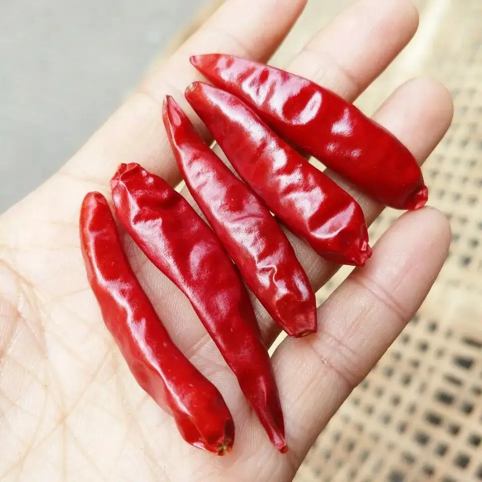 Di alta qualità piccante rosso piccolo proiettile rotondo peperoni peperoncino importatori esportazione negli stati uniti/messico/malesia