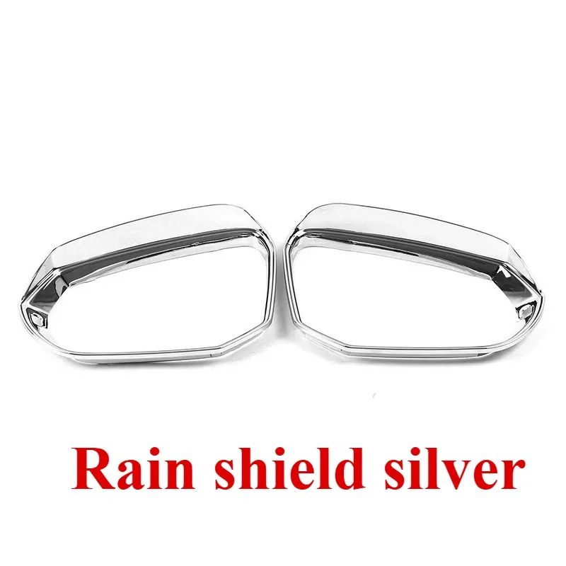 Protector de lluvia plateado