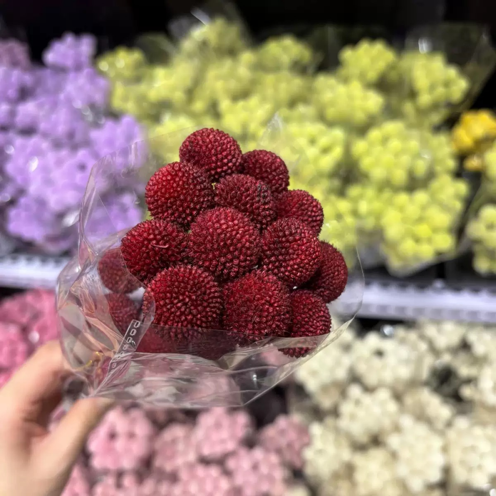 rouge foncé