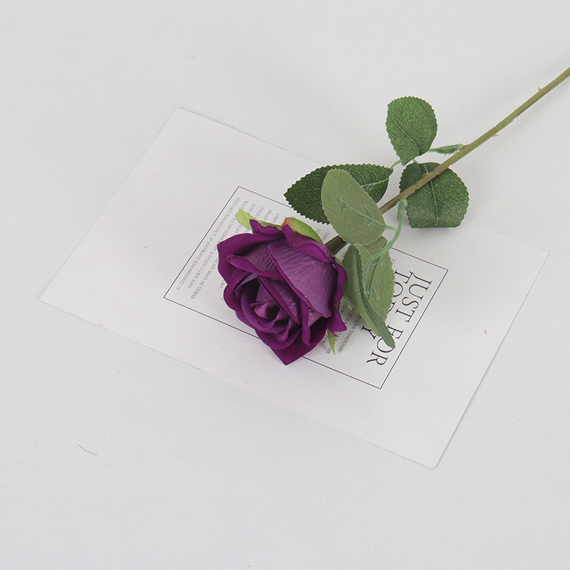 Pourpre