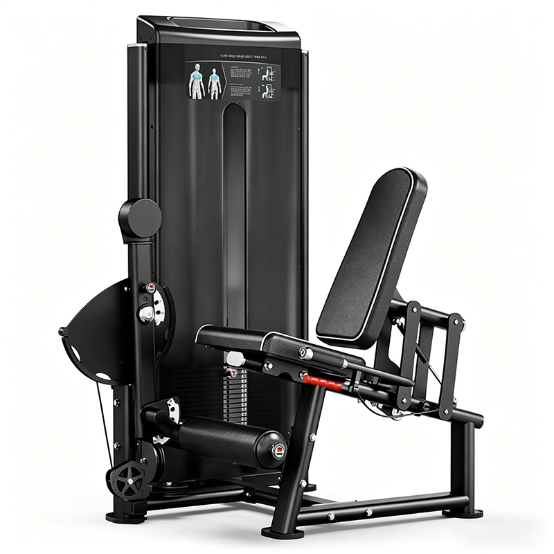 WD-F2019