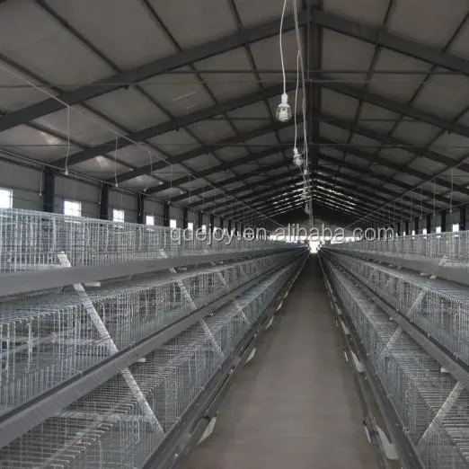 Cage de poulet à 3 niveaux, capacité de 120 m, de qualité supérieure, à dubaï, prix d'usine, livraison gratuite