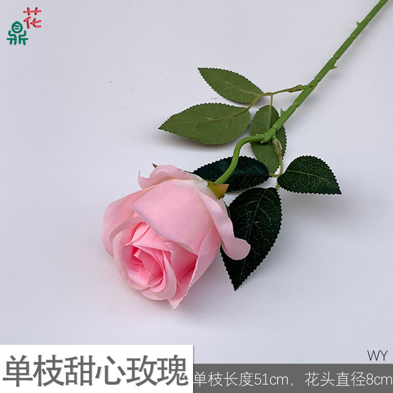 Chérie unique WY rose