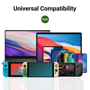 電力供給付きUSBC-ディスプレイポートアダプター4K144HzUSBタイプC-DP1.4ビデオコンバーター100WPDパススルー充電