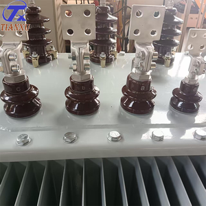 Tianxu 10000 Kvaパワー変圧器サウジアラビア用可変電圧出力208Vおよび入力6KV - Product Image 6