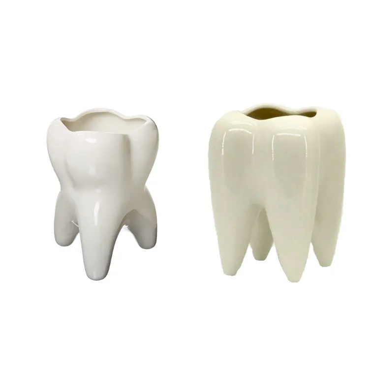 Creative White Ceramic Teeth Shaped Molar Vase Succulent Planter Pots Flower Container Desk Top Pen Pencil Home Decoration Kit