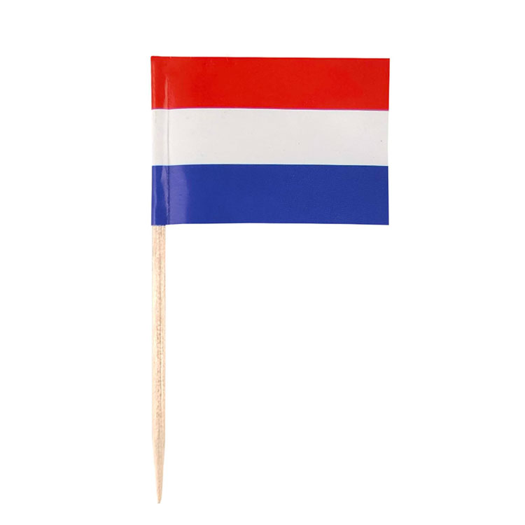 Bandiera Holland carta Picks 100 pz/borsa