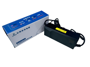 Chống Nước Xe Đạp Điện On-Board sạc làm việc với địa phương e-bike mô hình - Product Image 2