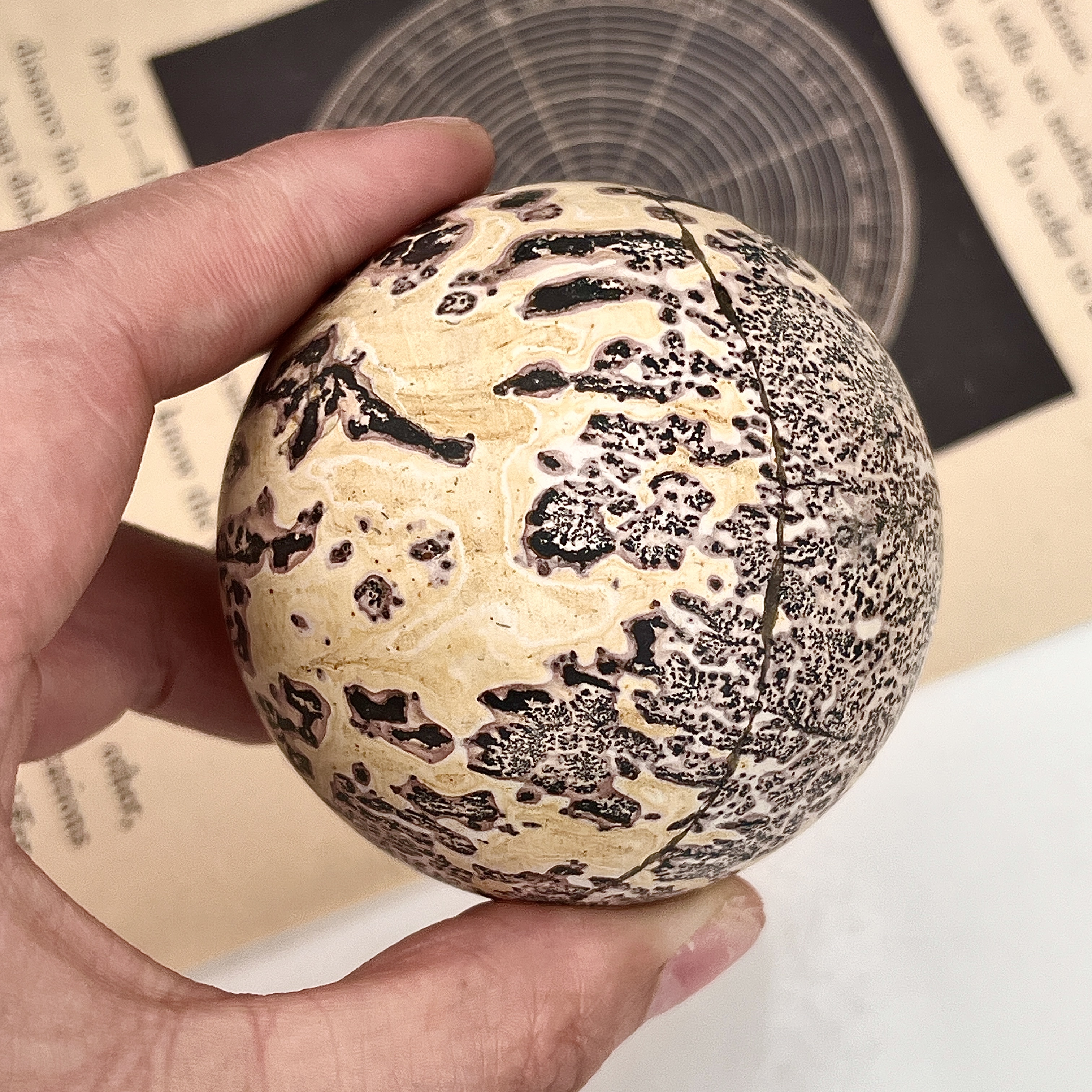 Picture Jasper