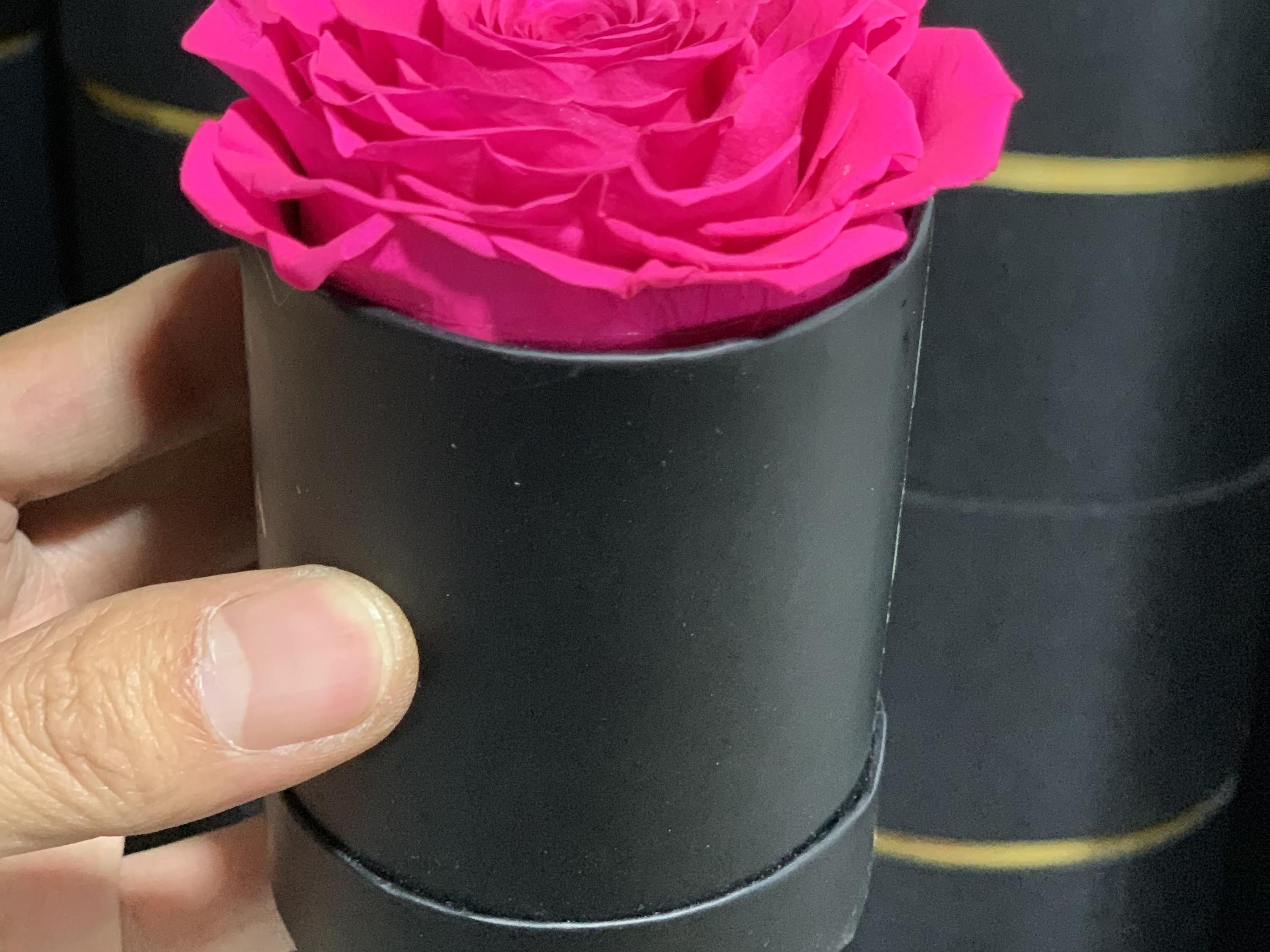 rosy