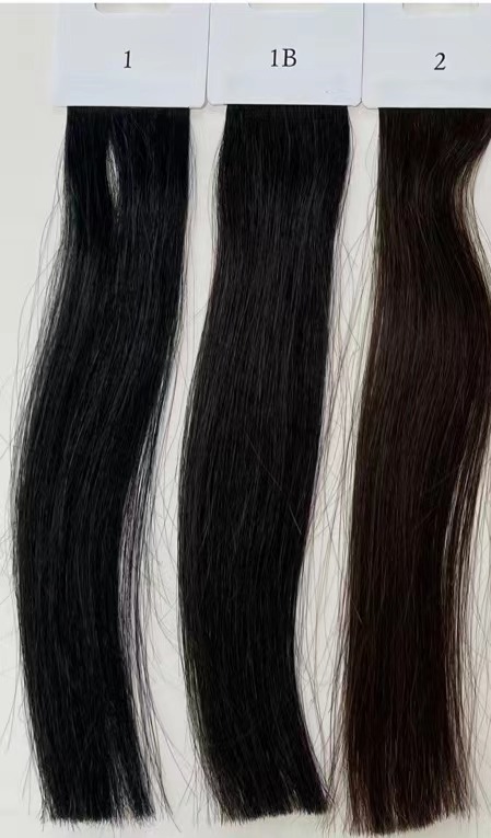 Regular dark colors
