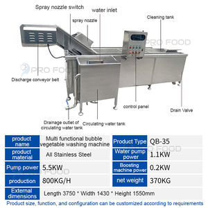 <strong>High</strong> <strong>Output</strong> Multifunctional Bubble Fruit Washing <strong>Machine</strong> Supplier with Core Engine Component - Product Image 4