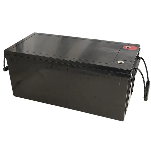 Deli green Großhandel Kunststoff Batterie fach 12v 100ah wasserdichtes Gehäuse für Lithium-Batterie pack