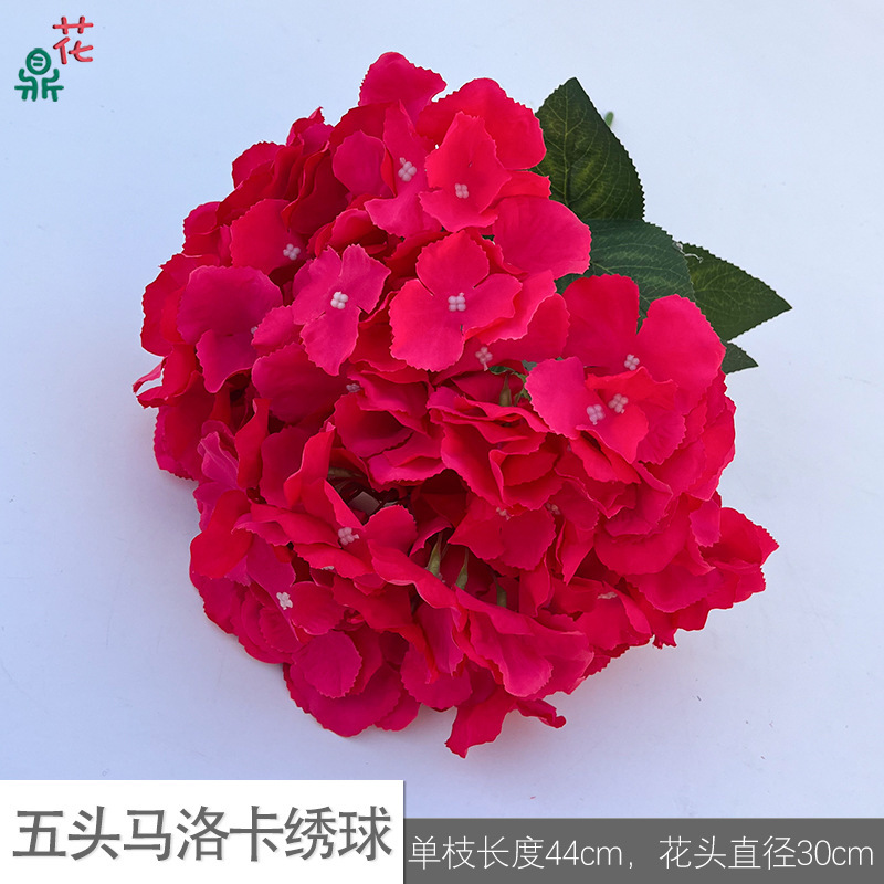 Five-headed Malorca hydrangea LFY rose red