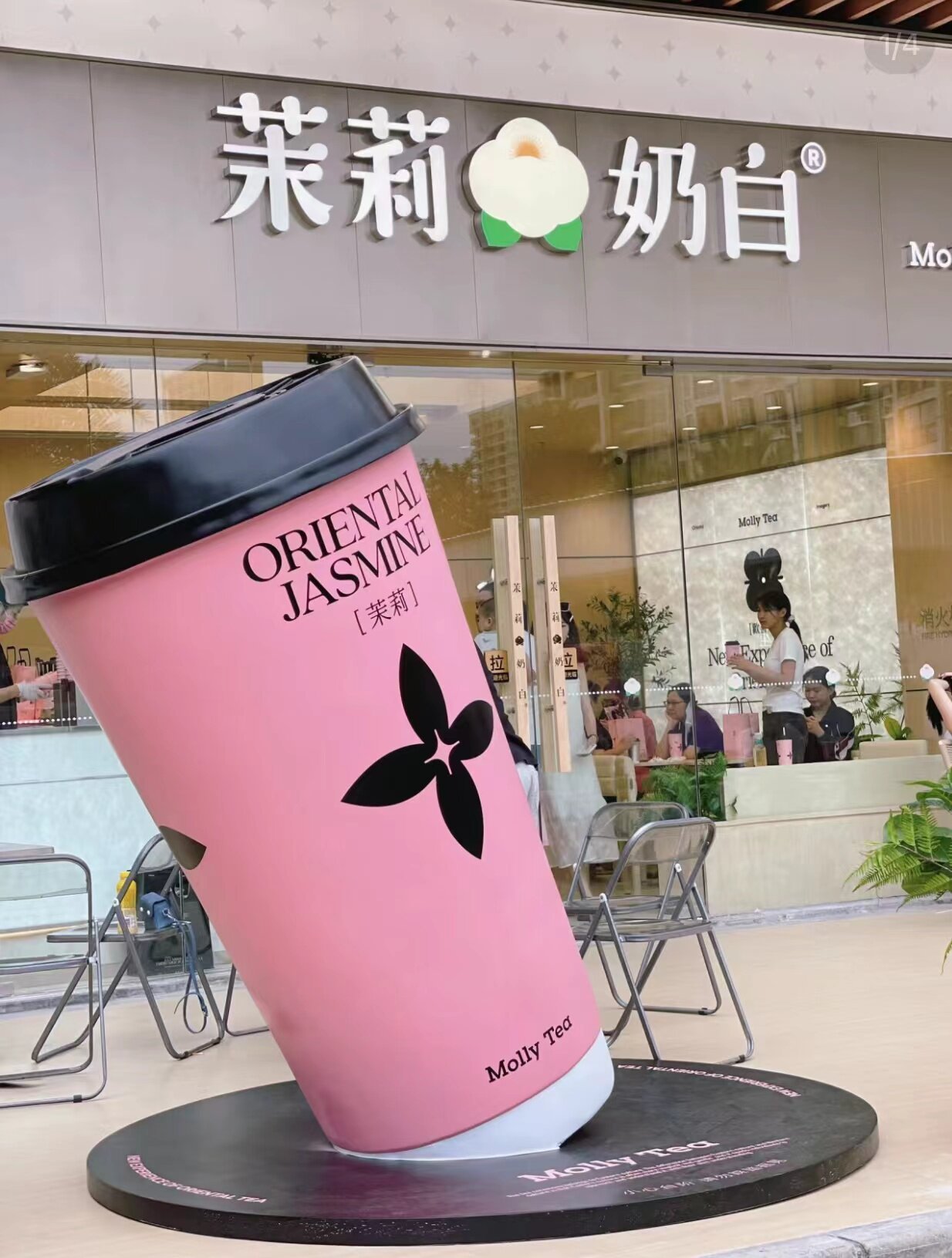 Jasmine cup 220cm