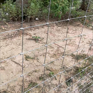 All-Weather Performance Cow <strong>Fence</strong> Hot-Dipped Galvanized Powder Coating Weather-Resistant <strong>Pool</strong> Trellis Nature Pressure - Product Image 1