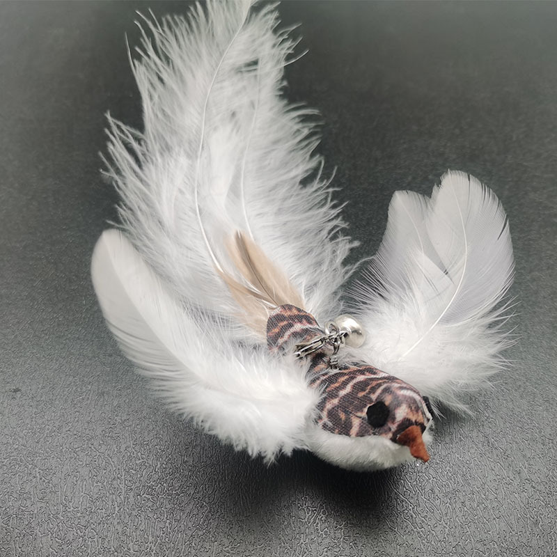 white Sparrow bird attachment