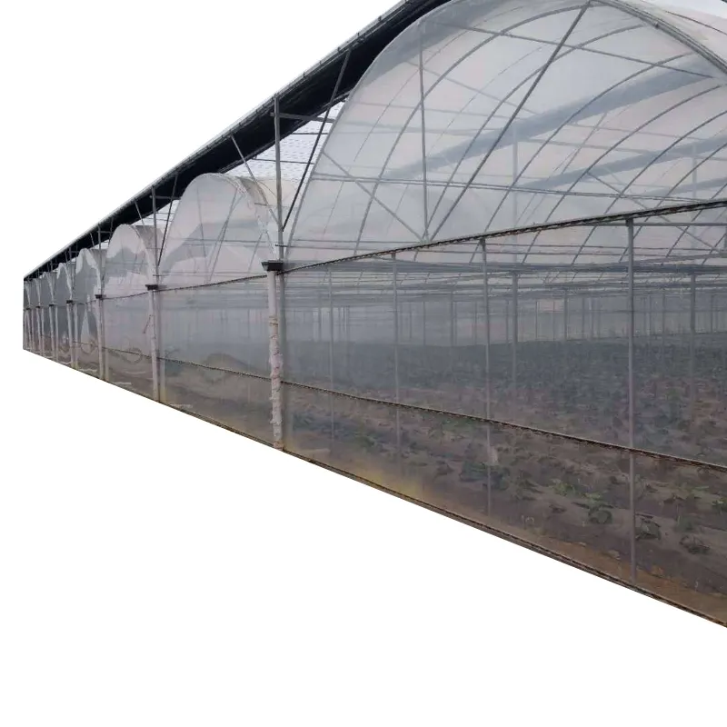 Multi Span 200 Micro PEP Film Resistente a los rayos UV Agricultura Casa verde comercial con sistema de enfriamiento Sistema de riego