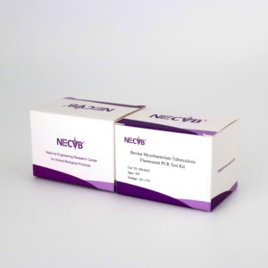 ชุดตรวจเชื้อวัณโรคจากหลอดฟลูออเรสเซนต์ PCR (50 t/box) สำหรับห้องปฏิบัติการวินิจฉัยทางสัตวแพทย์ - Product Image 5