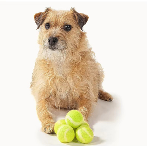 4cm Material de lana ecológica Natural juguetes para gatos 6 unids/pack bolas de colores con hierba gatera en el interior correr ejercicio gato pelota de juguete - Product Image 3
