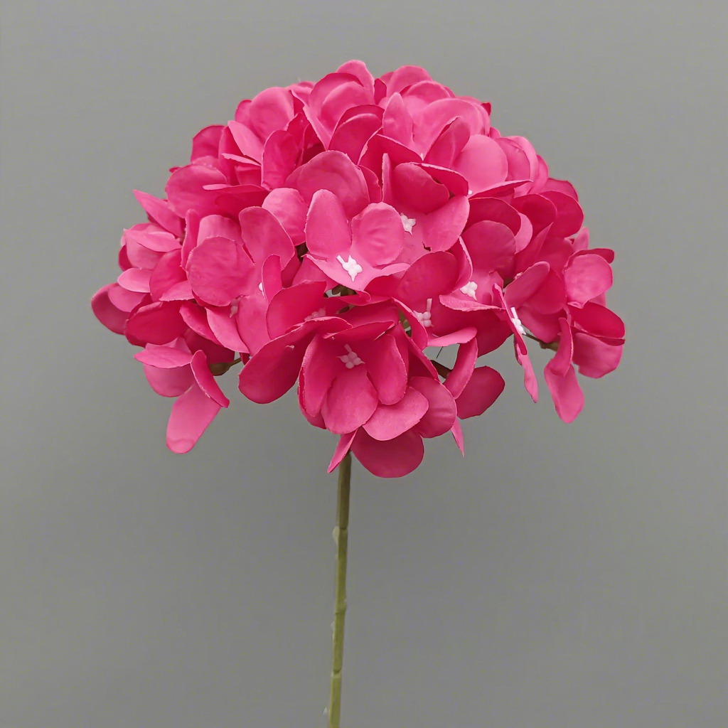 Hortensia 90 roses-70cm