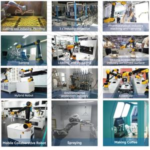 Voll automatische kol labor ative Box Wrapping 6-Achsen-Cobot-Arm-Maschine mit Zufuhr-Roboterarm - Product Image 6