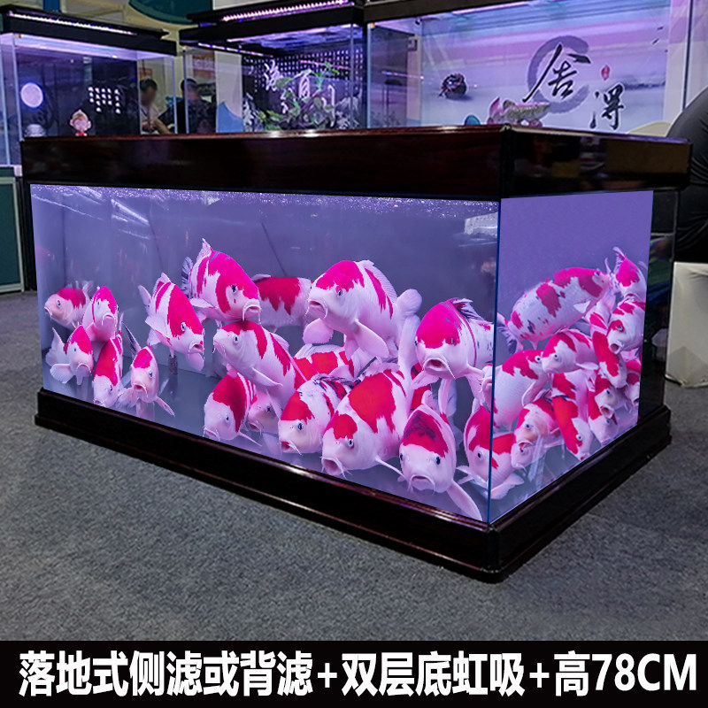 floor type side/back filter double bottom siphon 78cm