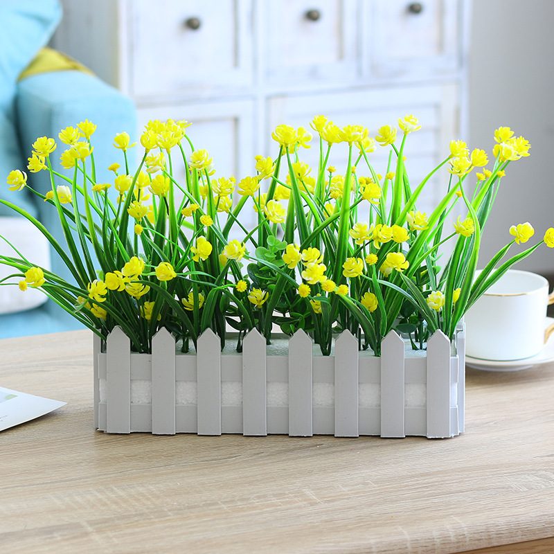 30 Gypsophile, Fleur de Milan Jaune