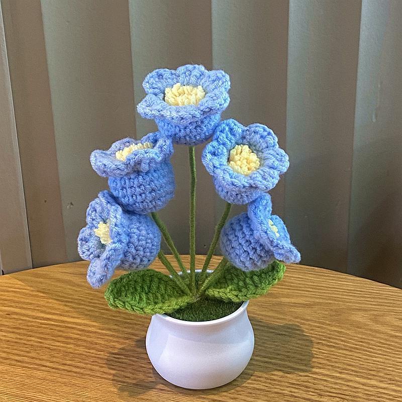 5 blue lily of the valley potted plants