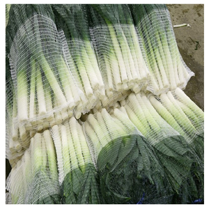 ถุงตาข่าย HDPE Raschel ถุงตาข่ายถักสำหรับกระเทียมและผัก - Product Image 3