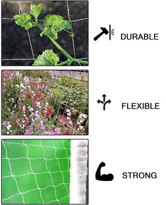 Creeper Plant Support <strong>Net</strong> Garden <strong>Trellis</strong> Plant Support Mesh <strong>Net</strong> Tent Fence for Climbing Veggie Pea Bean Fruit <strong>Netting</strong> Green - Product Image 5