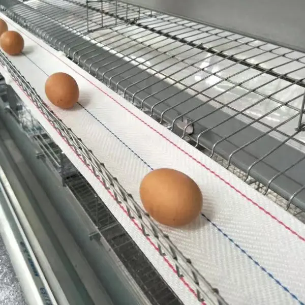Cinta transportadora de huevos antiedad para granja avícola, sistema de recolección de huevos, antiedad