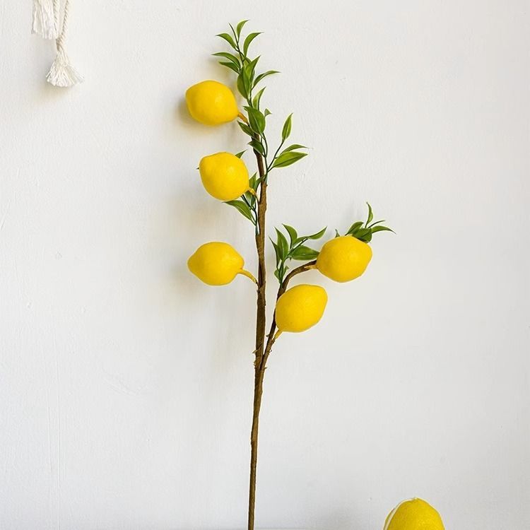 5 lemons