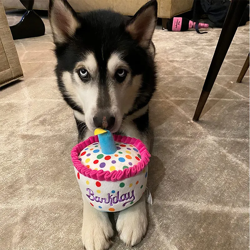 Pet peluş oyuncak aksesuarları komik köpek hediye doğum günü partisi köpek oyuncaklar interaktif köpek peluş