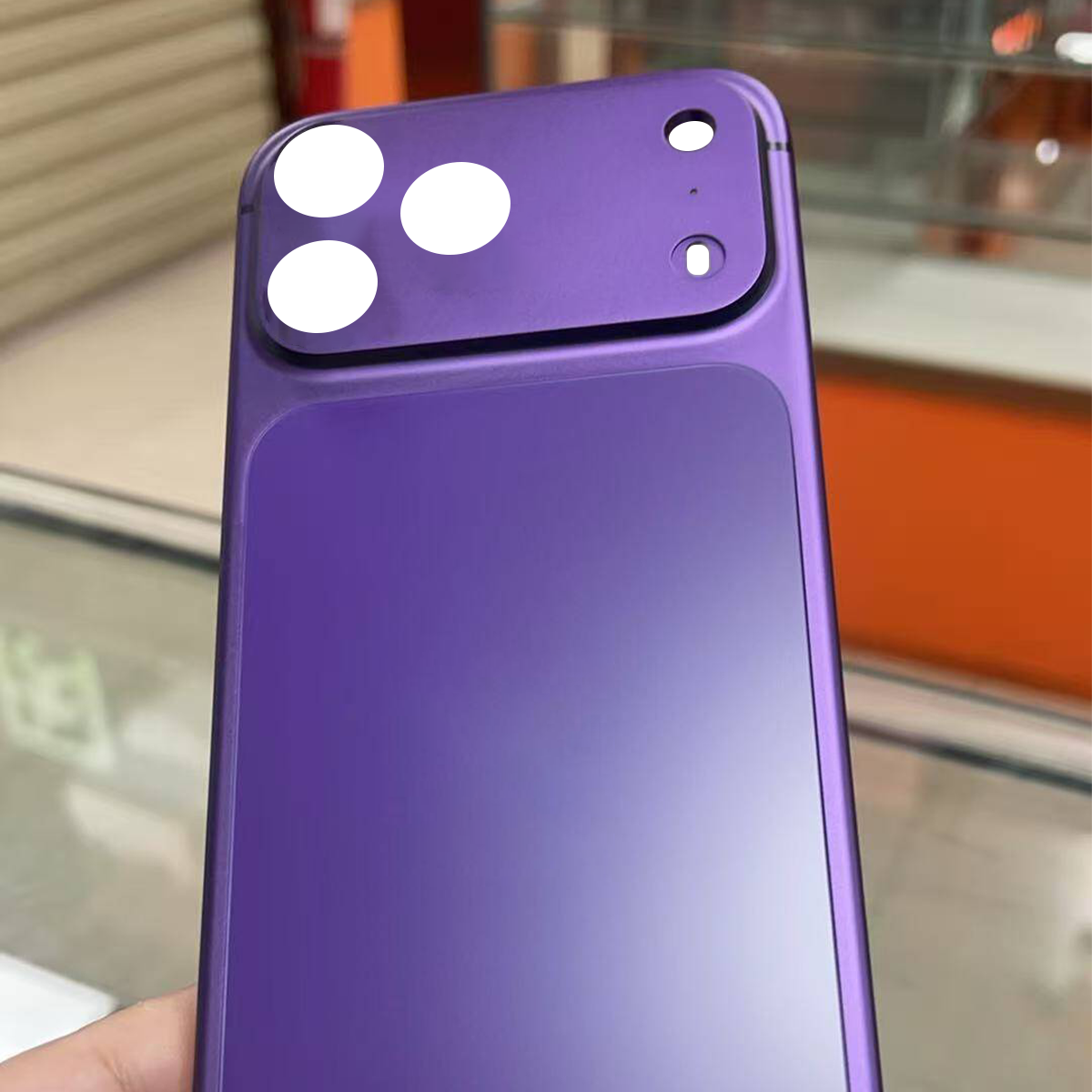 Viola