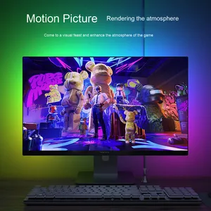 卸売カラフルなRGBスクリーン流れる光コンピュータ雰囲気ランプLEDライトストリップ音声制御付きルーム用 - Product Image 4