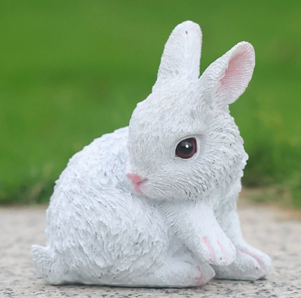 6003-turning back rabbit