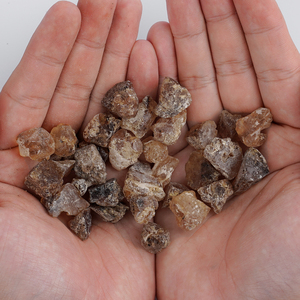 Paleobiyoloji araştırma için otantik Copal reçine kristal Subfossil Feng Shui tarzı laboratuar malzemeleri - Product Image 6