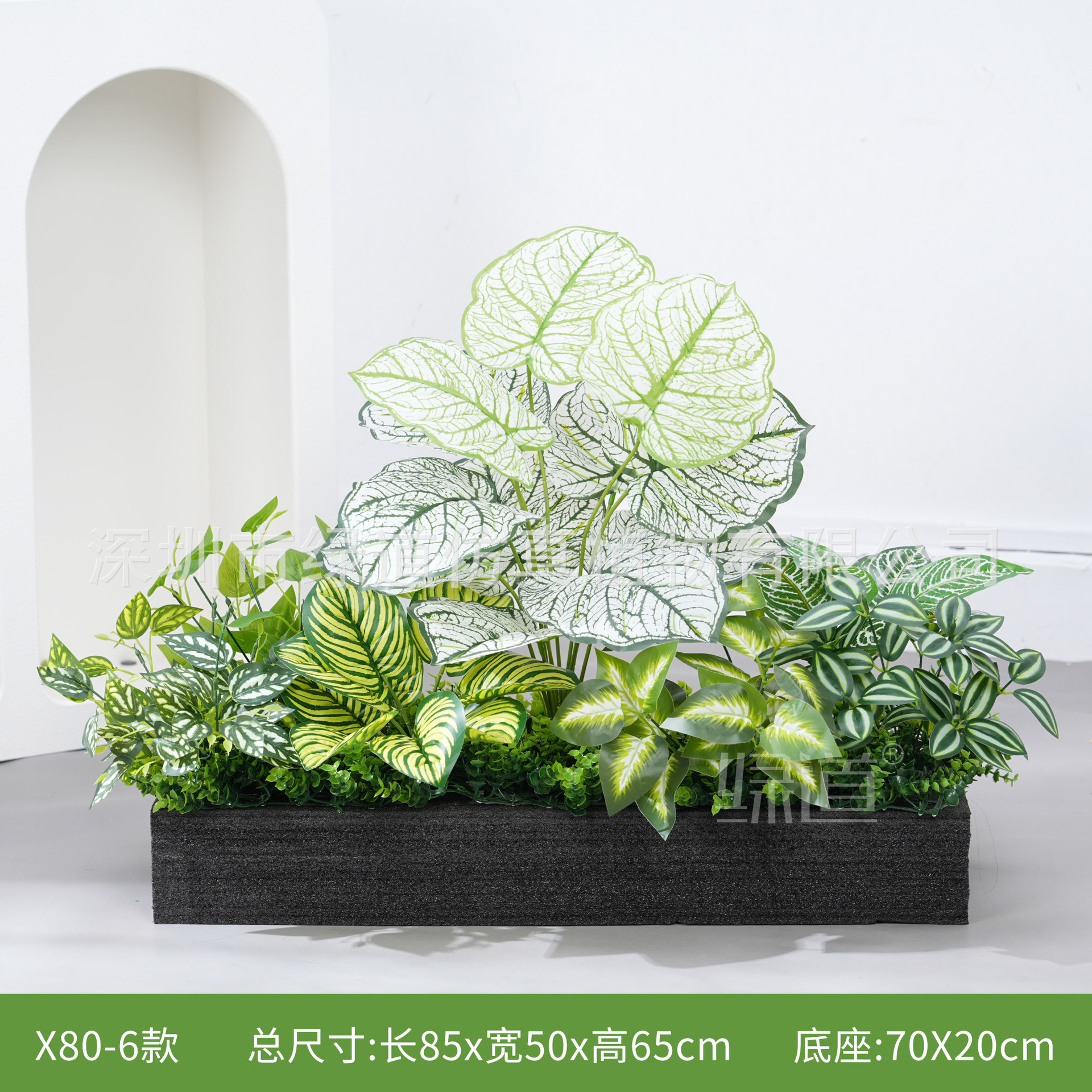 hc-X80-6 convient aux jardinières de 80 cm