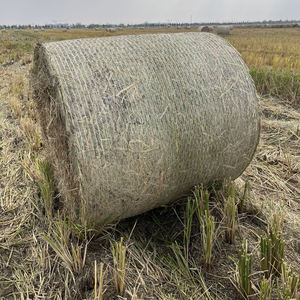 Bale <span class=keywords><strong>Net</strong></span> bọc 10gsm nhựa Pallet gói <span class=keywords><strong>Net</strong></span> nông nghiệp hay bọc Pallet lưới căng bọc - Product Image 2