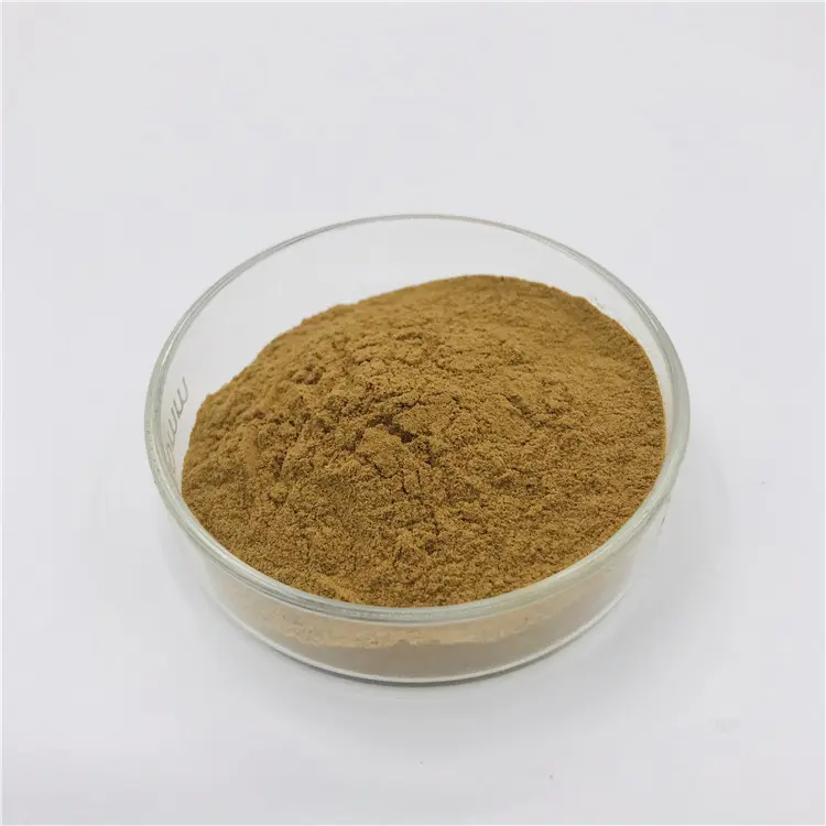 Areca Catechu Vrij Monster Areca Catechu Kruidenextract/Betelnoot Extract Areca Catechu Extract