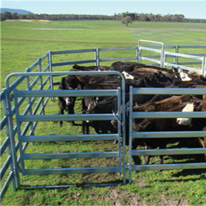 POrtable Sheep Yards / Knock Down Sheep Loading <strong>Ramp</strong> - Product Image 2