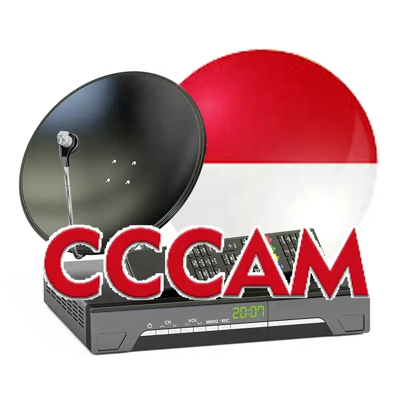 EgyGold CCCam 8 linee per Regno Unito polonia germania slovacchia repubblica ceca italia Austria stabile Satellite ICam Oscam Europe CCCAM Cline