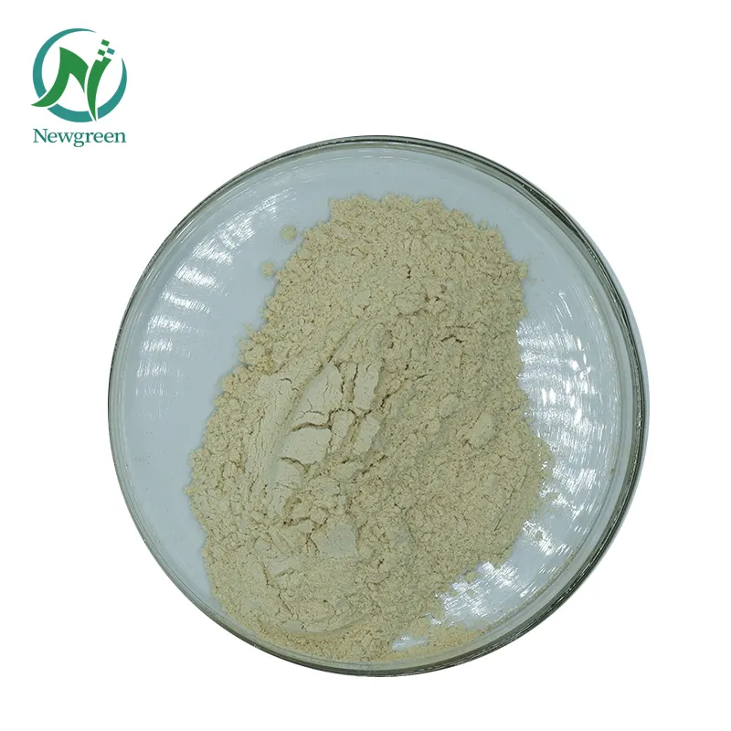 Newgreen lecitina di alta qualità lecitina idrogenata di soia lecitina di soia di buona qualità