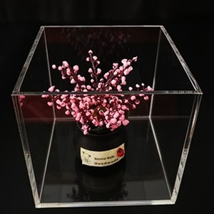 Nhà Sản Xuất Bán Trực Tiếp Trọng Lượng Nhẹ <span class=keywords><strong>Acrylic</strong></span> <span class=keywords><strong>Display</strong></span> Box Tùy Chỉnh Rõ Ràng <span class=keywords><strong>Acrylic</strong></span> Extra Large <span class=keywords><strong>Shoe</strong></span> Box - Product Image 3