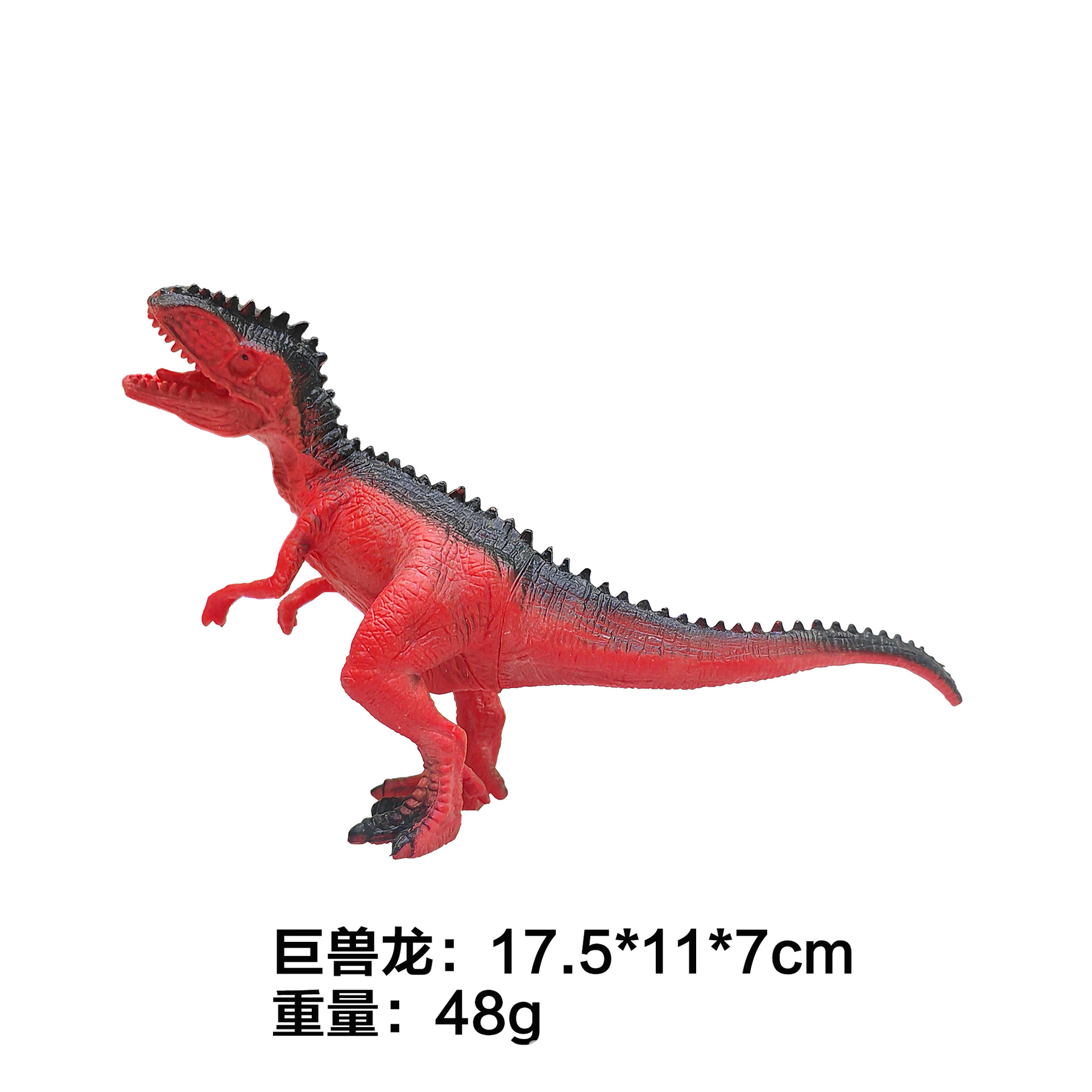 Giganotosaure creux de 7 pouces