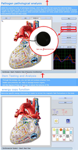 Wifi thông minh tự động biodiagnosis 9D sức khỏe Tester tiểu sức khỏe phân tích cho tiểu sức khỏe chẩn đoán Tester <span class=keywords><strong>Analyzer</strong></span> - Product Image 6