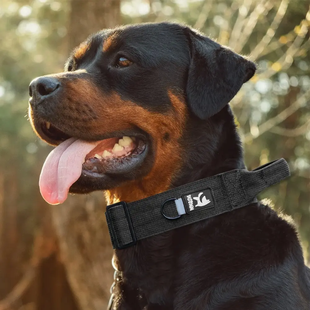 Huisdier Explosieveilige Tactische Halsband Buiten Hondentrainingsriem Voor Middelgrote En Grote Honden