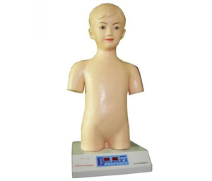 KyrenMed Pediatric Cardiopulmonary <strong>Palpation</strong> Auscultation Simulator Cardiopulmonary Examination Simulator for Children - Product Image 2