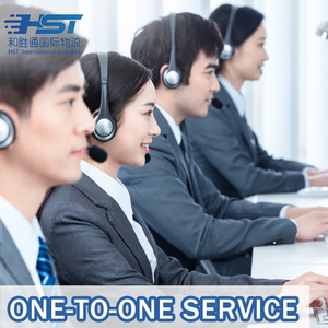 Shipping USA to Any Address, Professional VIP Customized <strong>Program</strong>, UPS/DHL/FedEx Trade Terms for DAP - Product Image 4